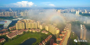 欽州發文加強房地產市場調控，促進房地產開發行業健康發展
